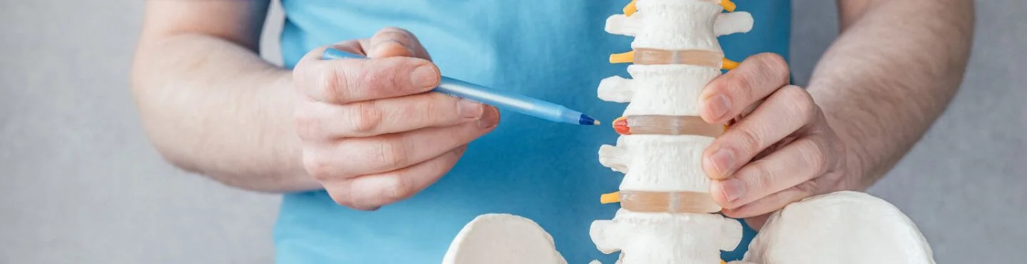 Male Doctor S Hand Pointing At Intervertebral Hern Declan Smaller
